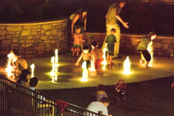 Finley Design Architects - Waverly Place-39